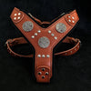 The "Maximus" silver harness by Bestia Dog Gear