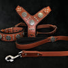 "Maximus Silver" BIG dog SET- Harness - collar - lead. Brown by Bestia Dog Gear