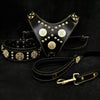 "Maximus Black" BIG dog SET- Harness - collar - lead. Brass rivets by Bestia Dog Gear