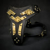 The ''Midas'' leather dog harness gold by Bestia Dog Gear