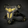 ''Midas'' leather dog harness gold medium size by Bestia Dog Gear