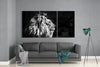 Lion Mega Glass Wall Art by Insigneart USA
