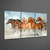Horses Mega Glass Wall Art by Insigneart USA