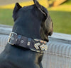 The ''Midas'' Collar Silver by Bestia Dog Gear