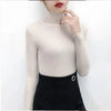 New Elegance Autumn/Winter Knitted Jumper Tops Turtleneck Pullovers Casual Sweaters Women Shirt Long Sleeve Tight Sweater Girls by Stevvex