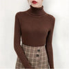 New Elegance Autumn/Winter Knitted Jumper Tops Turtleneck Pullovers Casual Sweaters Women Shirt Long Sleeve Tight Sweater Girls by Stevvex