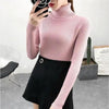 New Elegance Autumn/Winter Knitted Jumper Tops Turtleneck Pullovers Casual Sweaters Women Shirt Long Sleeve Tight Sweater Girls by Stevvex