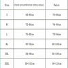 New Letter Three-Point Suit Women's Sports Underwear Set Skinny Backless Underwear Bikini Swimsuit For Women Two Piece Swimwear Bathing Suit Beachwear Set Thong Bikini by Stevvex