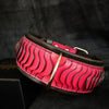 The ''Spine'' collar by Bestia Dog Gear