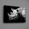 Rhino Glass Wall Art by Insigneart USA