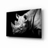 Rhino Glass Wall Art by Insigneart USA
