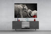 Elephants Glass Wall Art by Insigneart USA