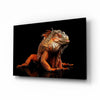 Komodo Dragon Glass Wall Art by Insigneart USA