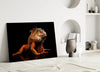 Komodo Dragon Glass Wall Art by Insigneart USA