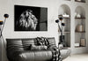 Lion Glass Wall Art by Insigneart USA