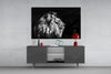 Lion Glass Wall Art by Insigneart USA