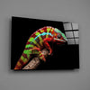 Chameleon Glass Wall Art by Insigneart USA