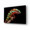 Chameleon Glass Wall Art by Insigneart USA