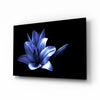 Purple Flower Glass Wall Art by Insigneart USA
