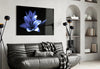 Purple Flower Glass Wall Art by Insigneart USA