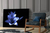 Purple Flower Glass Wall Art by Insigneart USA