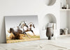 Running Horses Glass Wall Art by Insigneart USA