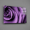 Purple Rose Glass Wall Art by Insigneart USA