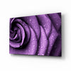 Purple Rose Glass Wall Art by Insigneart USA