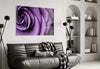 Purple Rose Glass Wall Art by Insigneart USA