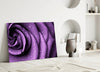 Purple Rose Glass Wall Art by Insigneart USA