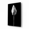 Flower Glass Wall Art by Insigneart USA