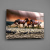 Horses Glass Wall Art by Insigneart USA