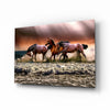 Horses Glass Wall Art by Insigneart USA
