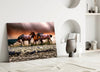 Horses Glass Wall Art by Insigneart USA