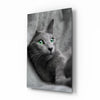 Cat Glass Wall Art by Insigneart USA