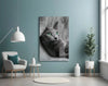 Cat Glass Wall Art by Insigneart USA