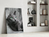 Cat Glass Wall Art by Insigneart USA