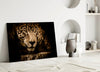 Leopard Glass Wall Art by Insigneart USA
