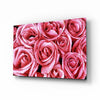 Pink Rose Glass Wall Art by Insigneart USA