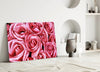 Pink Rose Glass Wall Art by Insigneart USA