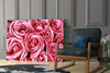 Pink Rose Glass Wall Art by Insigneart USA