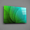 Green Leaf Glass Wall Art by Insigneart USA