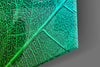 Green Leaf Glass Wall Art by Insigneart USA