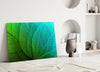 Green Leaf Glass Wall Art by Insigneart USA