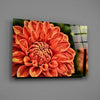 Orange Gerbera Glass Wall Art by Insigneart USA