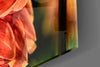 Orange Gerbera Glass Wall Art by Insigneart USA
