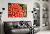 Orange Gerbera Glass Wall Art by Insigneart USA
