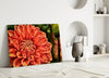 Orange Gerbera Glass Wall Art by Insigneart USA