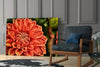 Orange Gerbera Glass Wall Art by Insigneart USA