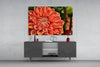 Orange Gerbera Glass Wall Art by Insigneart USA